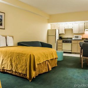 Efficiency Double Room Two Double Beds